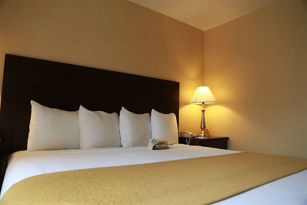 Quality Inn & Suites Seattle Center